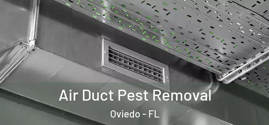  Air Duct Pest Removal Oviedo - FL
