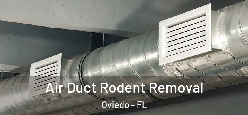  Air Duct Rodent Removal Oviedo - FL