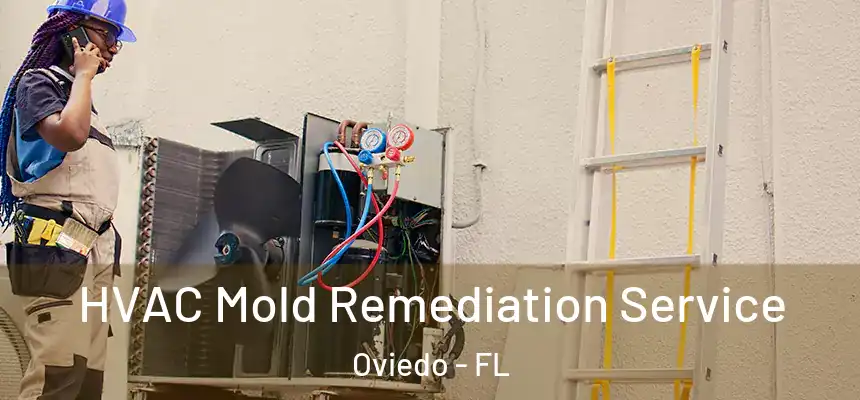 HVAC Mold Remediation Service Oviedo - FL