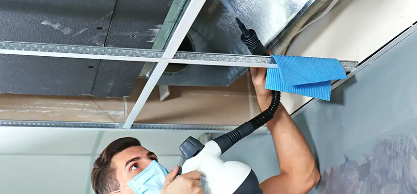Our Air Duct Rodent Removal Services in Oviedo, FL