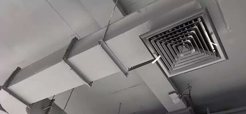 Restorative Allergy Relief Vent Cleaning – Coil, Blower & Housing Detail in Oviedo