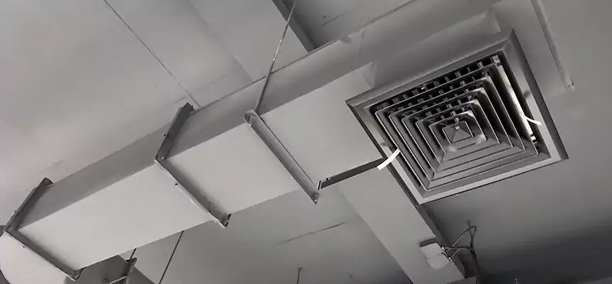 Our Pest Removal From Ducts Services in Oviedo, FL