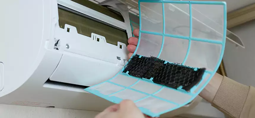 Gentle Ductwork Odor-Control Pet Dander Duct Cleaning in Oviedo, FL