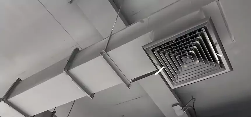 Our Rodent Droppings In Vents Services in Oviedo, FL