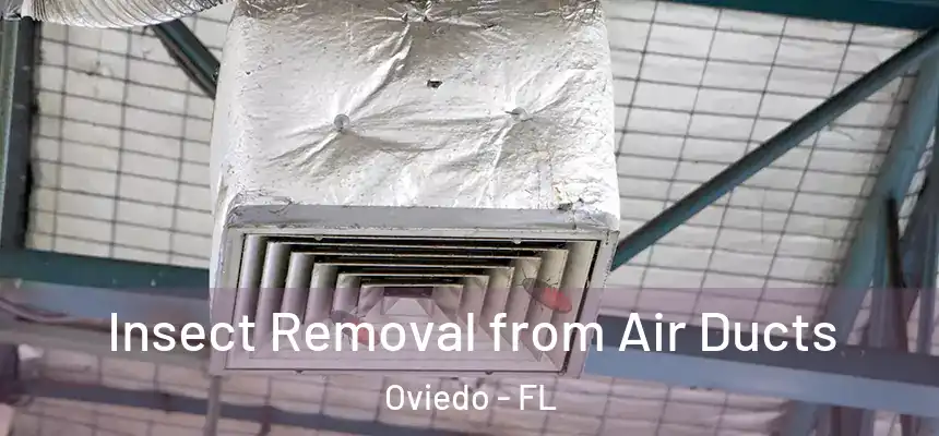  Insect Removal from Air Ducts Oviedo - FL