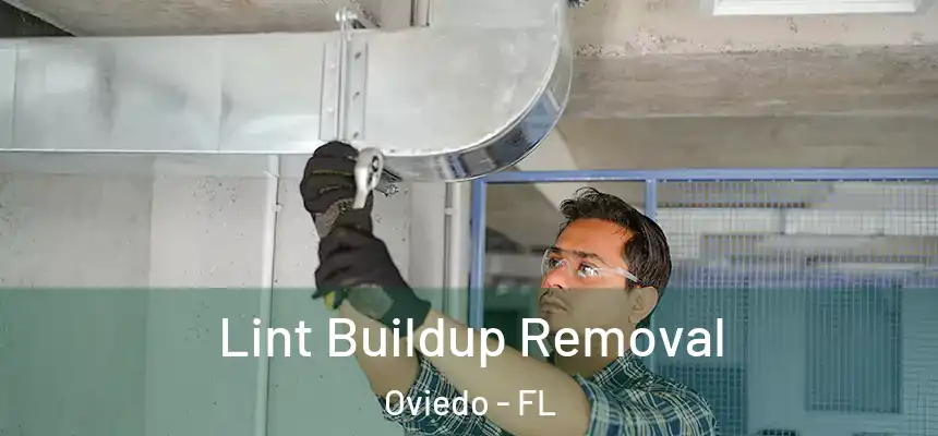  Lint Buildup Removal Oviedo - FL
