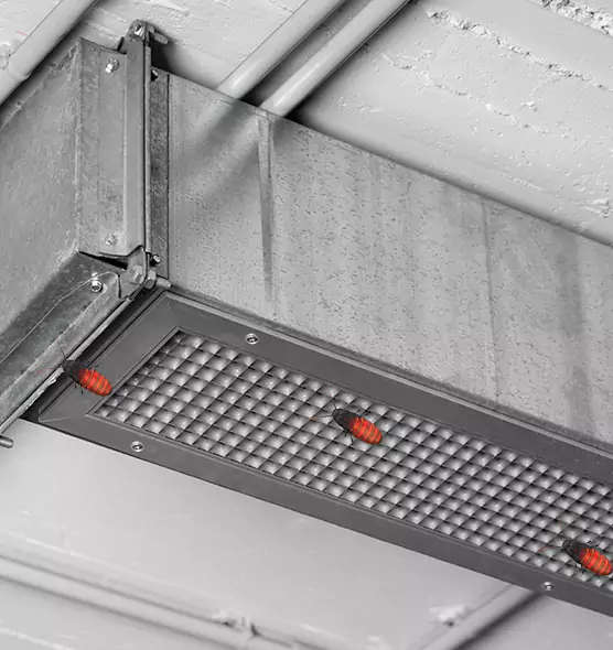 About Air Duct Cockroach Removal in Oviedo, FL