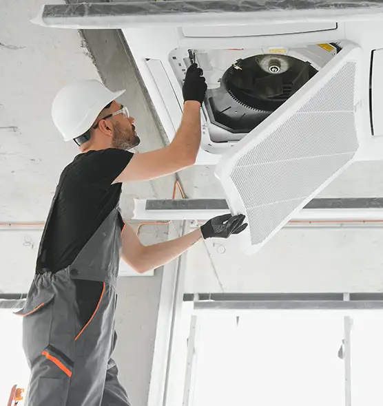 About Air Duct Rodent Removal in Oviedo, FL