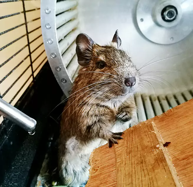 Why Homeowners & Businesses Trust Us Oviedo, FL