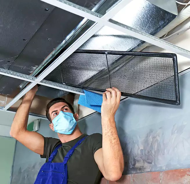 Why Homeowners Businesses Trust Us in Oviedo, FL