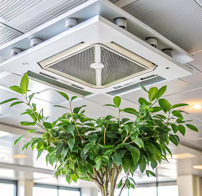 Why Homeowners & Businesses Trust Us in Oviedo, FL?