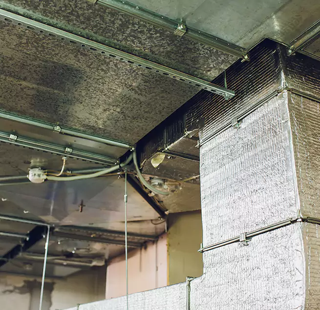 Why Homeowners & Businesses Trust Us in Oviedo, FL?